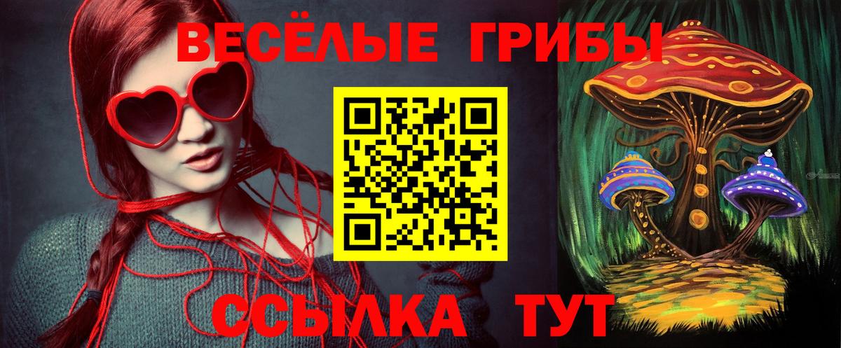 ТГК  Ейск  Вход с VPN  NBOMe  Гашиш  Меф   Конопля  Экстази  Кокаин 
