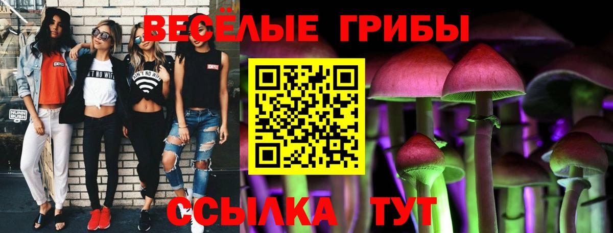 где купить   Галлюциногенные грибы Cubensis  Вход с VPN  Ейск 